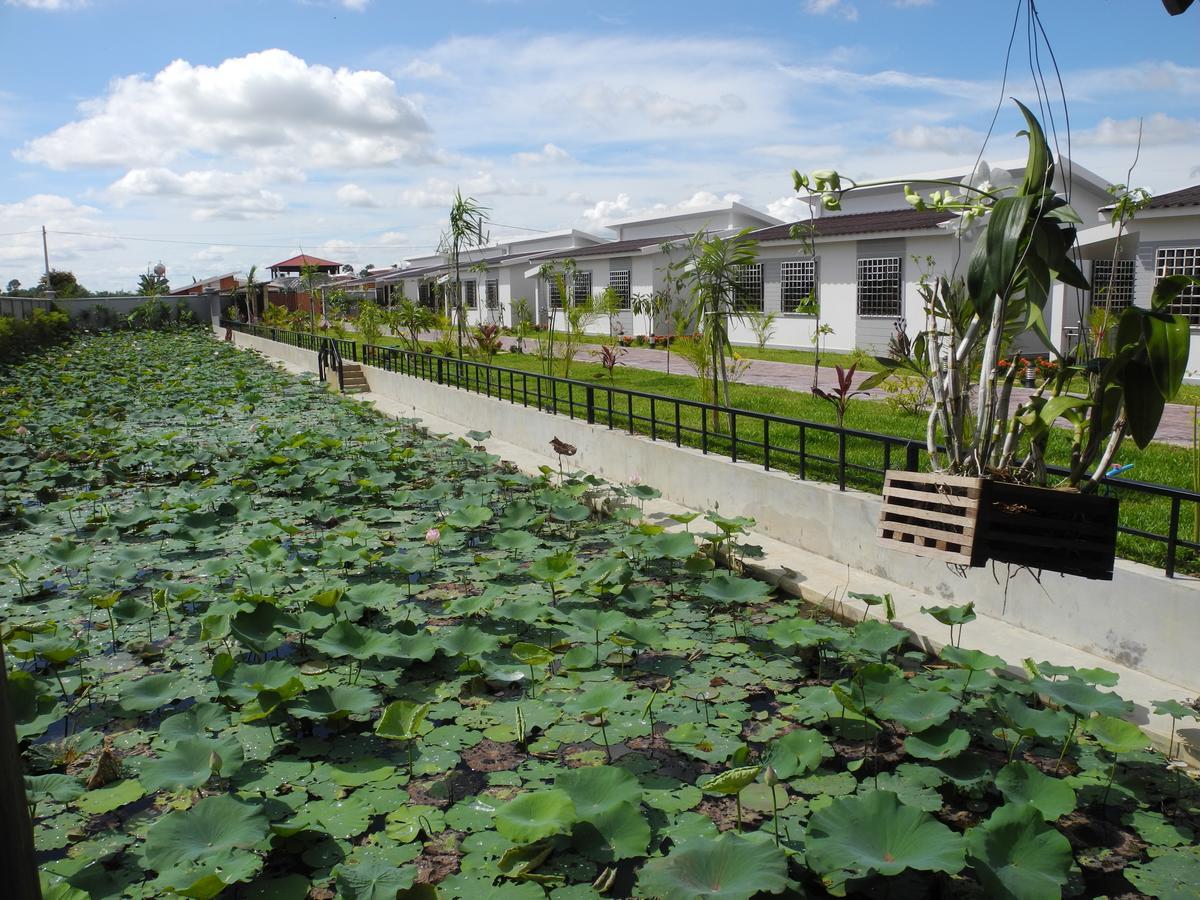 Ry's Lotus Resort d'Angkor Siem Reap Extérieur photo